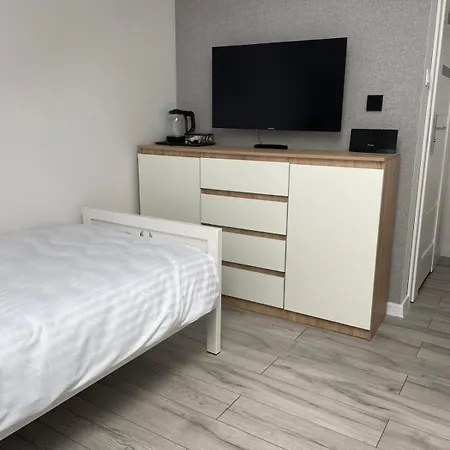 Horse Pawlow Szkolny