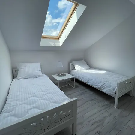 Horse Pawlow Szkolny