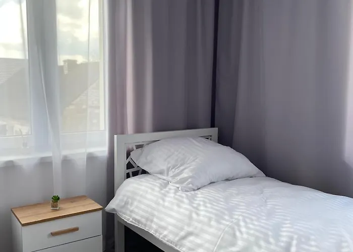 Horse * Pawlow Szkolny