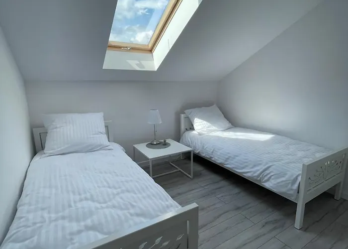 Horse Pawlow Szkolny